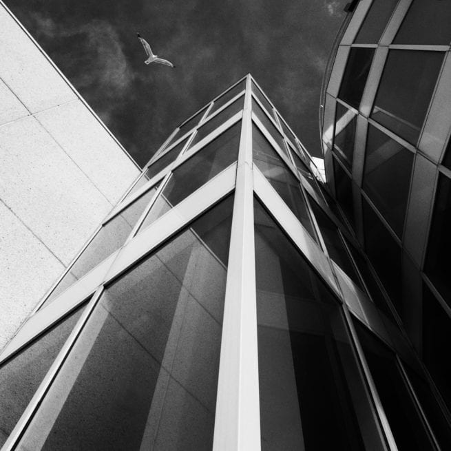 1er Premi CINES-1 de Cristobal Trujillo Sánchez del Puerto de Santa Maria (Cádiz)