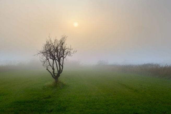 1er Premi REMOLAR -Todo tiene su momento de Antonio Arias Arnaiz de Viladecans