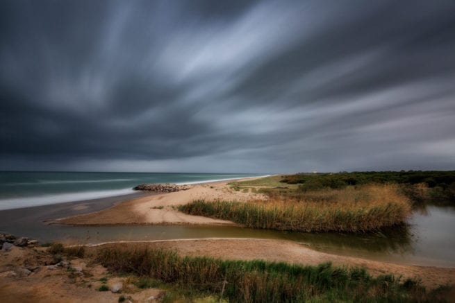 1er Premi Paisajes del Remolar de José Miguel Velasco Riego de Gavà