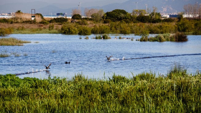 Premi col-leccio 3 Jaume Muns de Viladecans