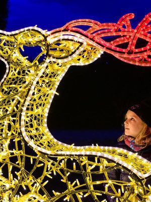 3-24 punts-(2026-01) de María José Reyes 3-24 punts-(2026-01) de María José Reyes